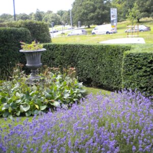 Small front gardens with driveways can be elegant too with colourful bee friendly planting and neat hedges