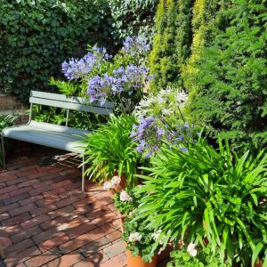 A place to sit and contemplate surrounded by bee friendly planting in this garden in Tunbridge Wells
