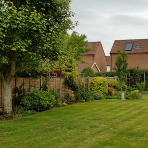 Traditional mixed borders with wildlife friendly flowering plants and a nicely striped lawn in Maidstone