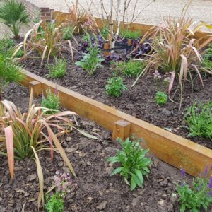 A mixed of evergreen shape and form and summer flowering colourful plants were chosen for this Cranbrook garden