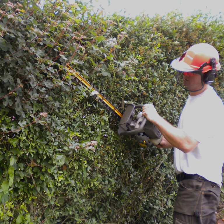 James Sharp started Kent Gardening in 2011 with the ambition to provide a quality gardening service to the local area where he lived