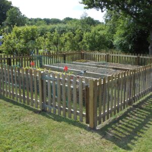 Vegetable gardens are best protected from rabbits and this palisade fencing has chicken wire attached to keep out the wildlife