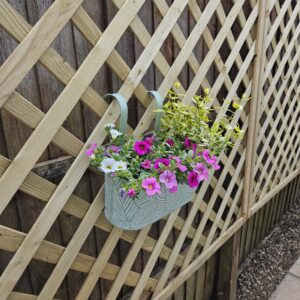Hanging planters provide seasonal interest when placed on lattice fencing panels