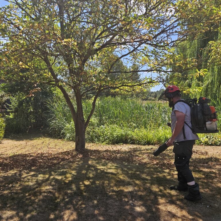 We work with homeowners, tenants, local and town councils, and small businesses, providing practical and reliable services tailored to the needs of each garden and property.