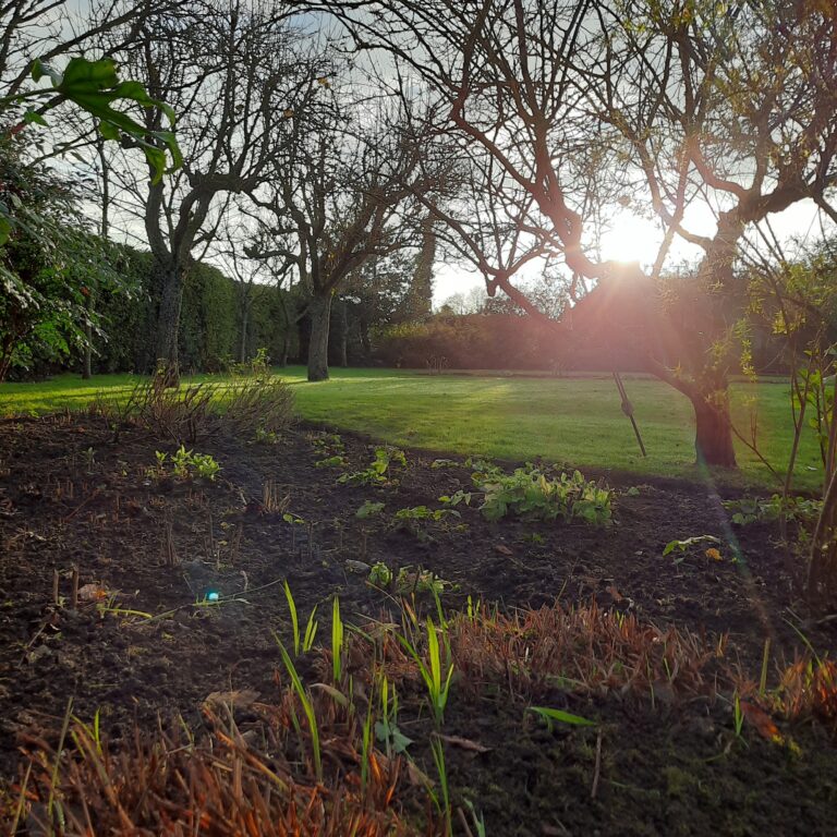 Our approach combines practical experience with sound horticultural knowledge, helping gardens remain healthy, attractive and enjoyable throughout the seasons.