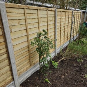 Before redeveloping the plants in garden borders it is a good idea to ensure the boundary fence is in good shape for years to come